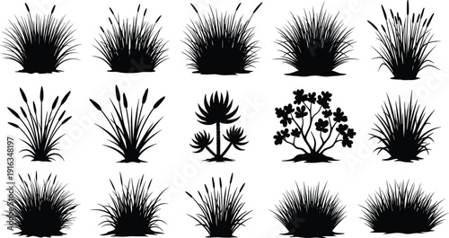 Grass and plant silhouette collection, wild botanical meadow elements, black nature foliage set for landscape design, flat vector illustration