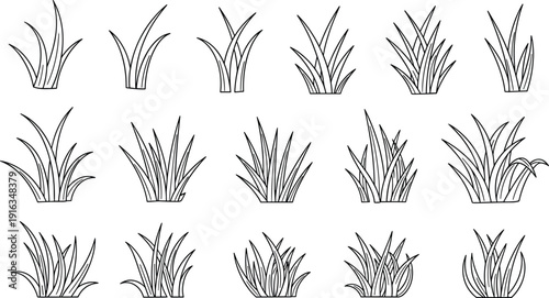 Grass line art icon set, botanical leaf blade collection, minimal nature plant elements for landscape design, flat vector illustration