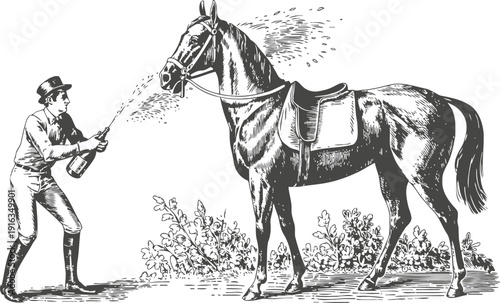 Man cooling horse with water spray outdoors equestrian care, animal grooming and summer temperature relief