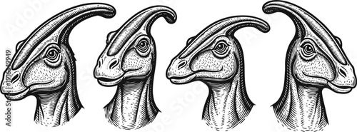 Four detailed hand drawn parasaurolophus dinosaur heads in profile, vintage scientific illustration