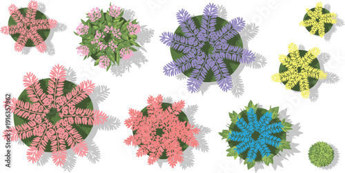 Colorful ornamental plants top view collection isolated on white background, decorative garden foliage set for landscape design, map elements and botanical illustration