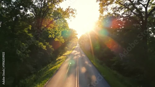 Sunlight bursts through the trees on an open road, creating a dreamy travel concept
