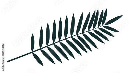 Silhouette of a single tropical palm leaf with many thin leaflets is oriented diagonally against a plain white background.