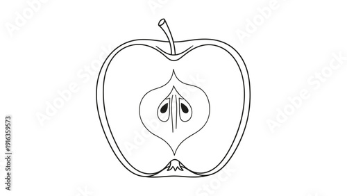 Symmetrical black and white line drawing of a cross-section of an apple showing the core and seeds on a white background.