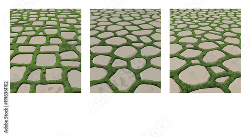 Detailed view of stone pavement texture with green grass growing between cracks showing natural garden walkway or patio floor design in three panels.
