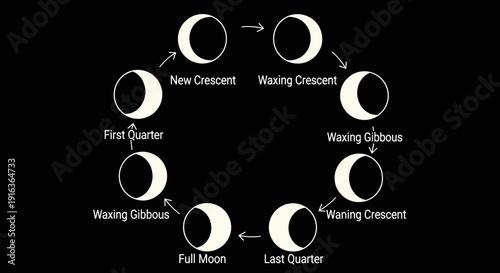 Phases of the Moon Cycle 30.