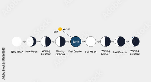 Phases of the Moon Cycle 45.