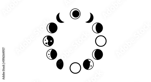 Phases of the Moon Cycle 46.