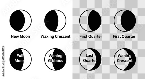 Phases of the Moon Illustration 5.