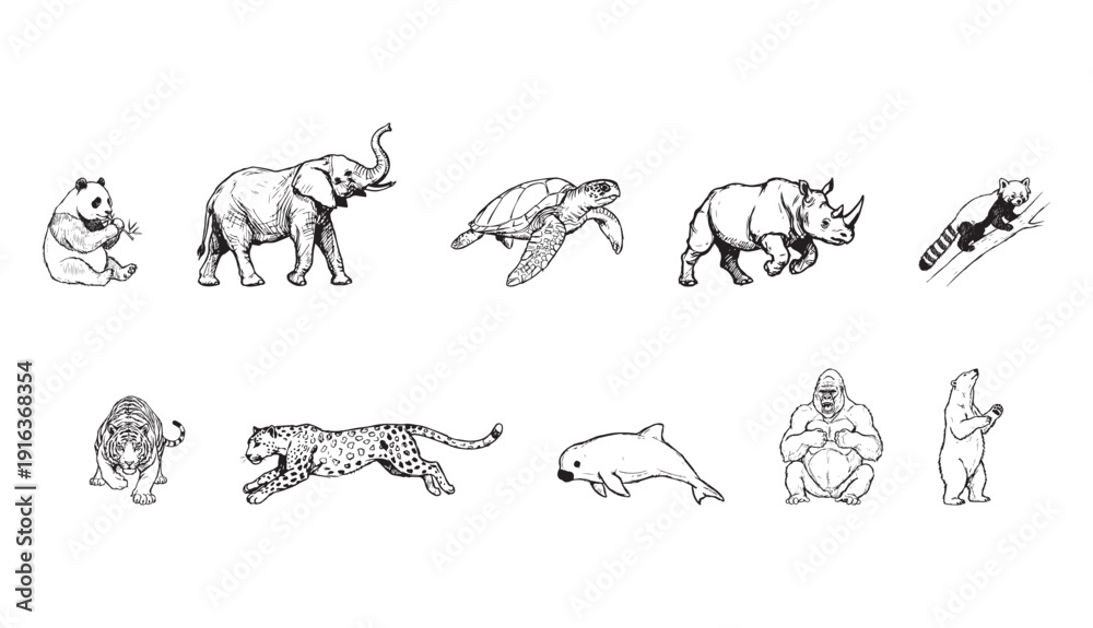 Fototapeta premium Endangered animals collection in minimalist line art style