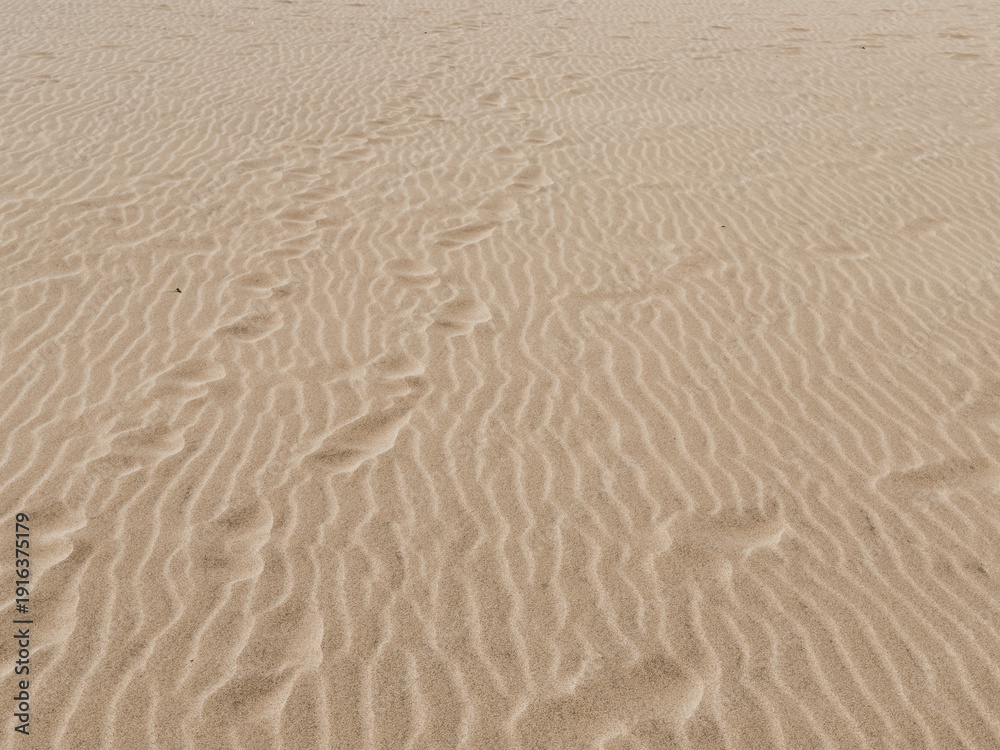 Obraz premium Desert Sand Texture Background Pattern