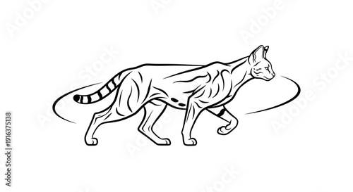 Stylized Black and White Line Art of a Walking Savannah Cat with Spotted Coat