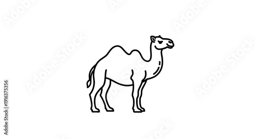 Simple Line Art Icon of a Camel Standing on White Background