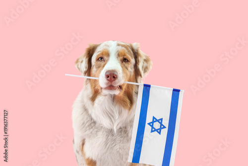 Cute dog with flag of Israe...