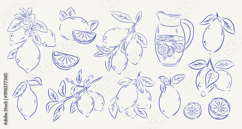 Hand draw whimsical sketch style lemons illustration.