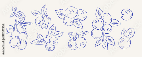 whimsical line art blueberry set with hand drawn botanical branch leaf and berry.