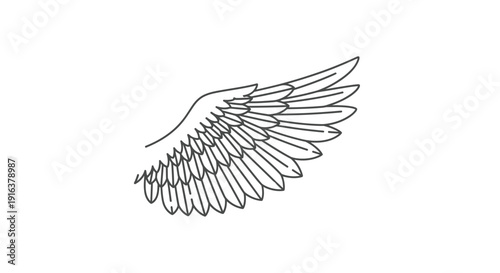Minimalist Angel Wing Outline Drawing, Isolated on White Background