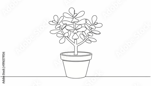 Minimalist Jade Plant in a Pot: Simple Line Art Illustration