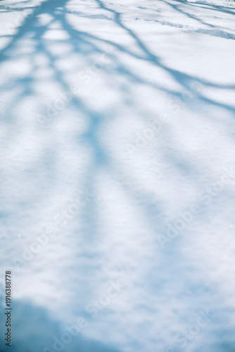 【福島県福島市】雪景色に映る木の影
