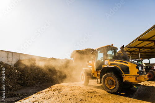 Εκτύπωση καμβά Side view of a yellow wheel loader transferring silage into a feed mixer in a rural farm setting