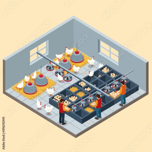 Poultry Farm Workers Feeding Chickens Isometric Illustration.