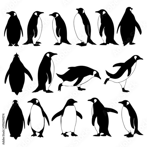 set of penguins on white background