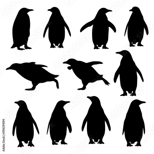 set of penguins