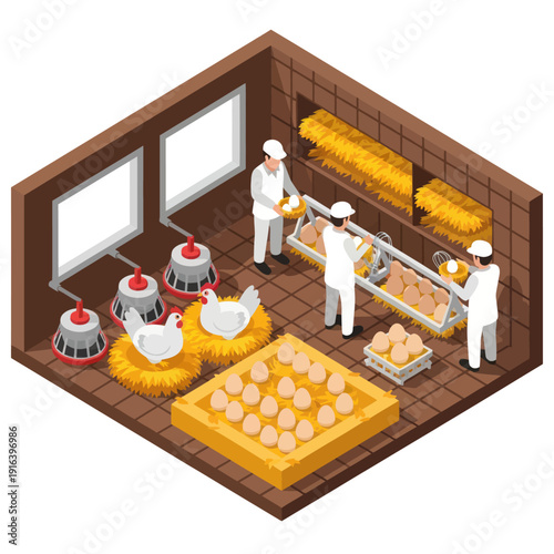 Chicken Farm Workers Processing Poultry Products.