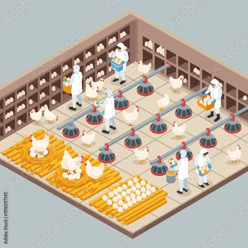 Chicken Farm Isometric Illustration with Workers.