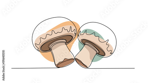 Single line drawing of two mushrooms with abstract color shapes, minimalist botanical illustration for food and nature concepts.