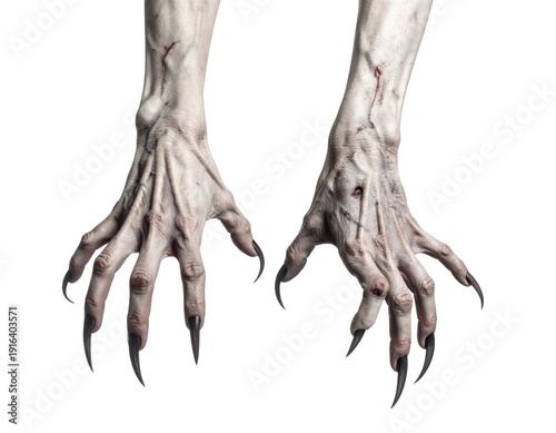 A pair of white skeletal hands with long fingers isolated on transparent background