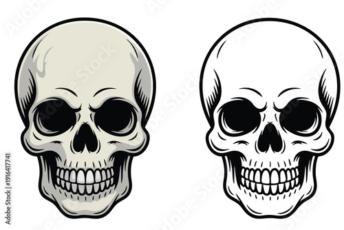 Skull Illustration and outline set isolated on transparent background