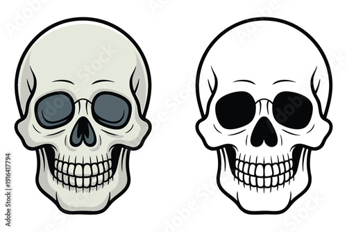 Skull Illustration and outline set isolated on transparent background