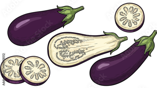Illustration of eggplants: two whole, one halved showing seeds, and three round slices. The eggplants are a deep purple with green stems, set on a white background.
