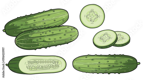 Illustration of cucumbers, including whole, sliced, and halved pieces. They are green with textured skin and pale, seedy interiors, conveying freshness.