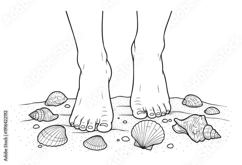 A detailed line drawing of two bare feet standing on a sandy beach among various seashells, perfect for summer vacation promotions or relaxationthemed publications.