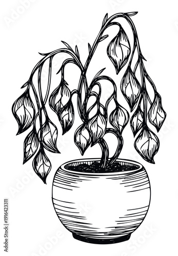 A handdrawn black and white sketch depicting a withered potted houseplant with drooping leaves, ideal for illustrating concepts of neglect, sadness, failure, or the need for care in various
