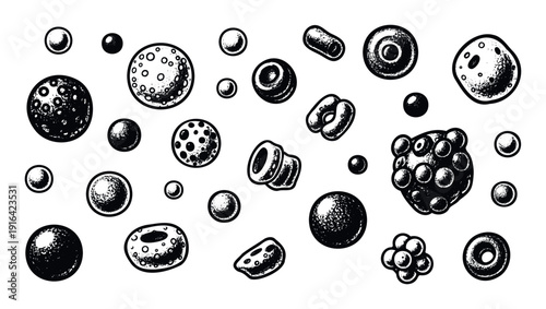 Engraved black and white abstract shapes resembling microscopic particles and celestial objects, versatile graphic elements for scientific studies and conceptual visual projects.
