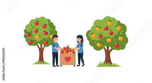 Illustration of a man and woman working together, harvesting apples into a box with a heart, surrounded by lush apple trees.