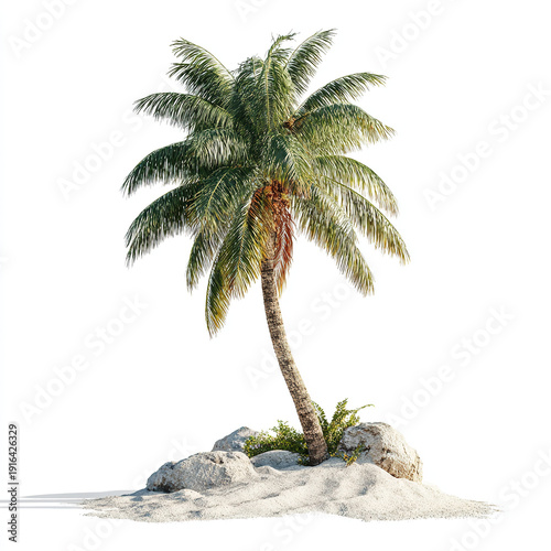 Single Tropical Date Palm Tree with Ripening Fruits Isolated on White Background PNG