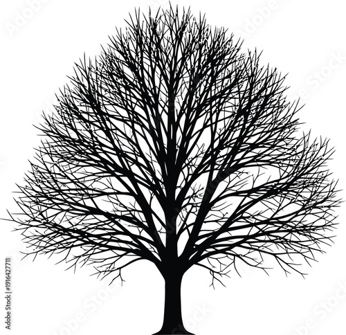 A pure white silhouette of a tree, emphasizing the branching structure and the upward direction