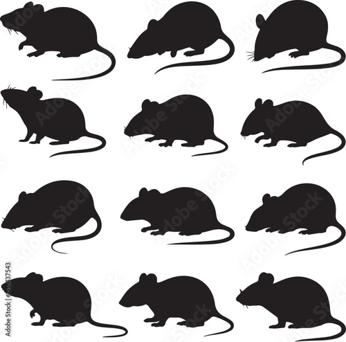 Rat and mice silhouettes. Good use for logo, web icons, symbol, or any design you want.