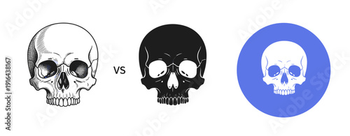 Sketched, silhouetted, and digital skull comparison