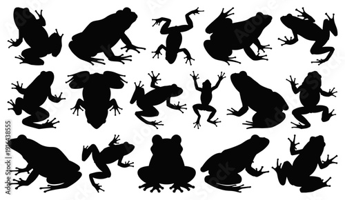 Frog and Toad Silhouettes Set in Various Poses and Jumping Actions Isolated on Transparent Background, Vector Collection
