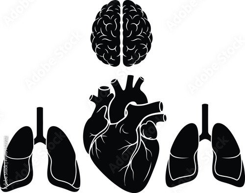 Human organ icons, brain, heart, lungs, anatomy symbols, medical illustrations, black and white graphics
