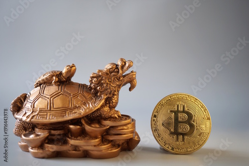 Wallpaper Mural A dragon turtle and a bitcoin coin on a gray background. Torontodigital.ca