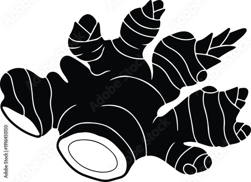Fresh ginger root spice isolated on white background silhouette vector illustration