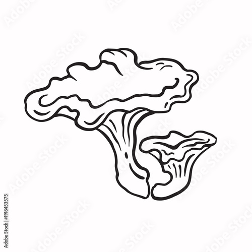 Chanterelle mushrooms line sketch monochrome vector illustration