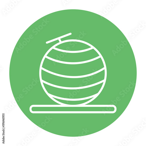 Exercise Ball Icon