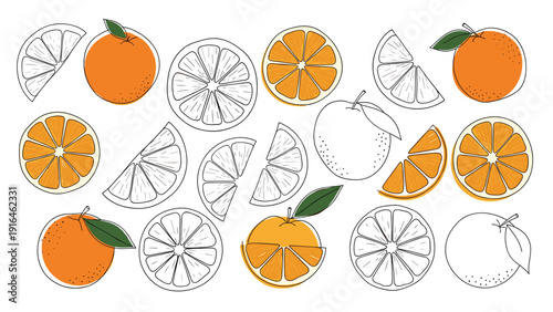 Vibrant collection of orange fruit illustrations includes whole oranges with leaves half cut versions and various segments for fresh citrus themes.